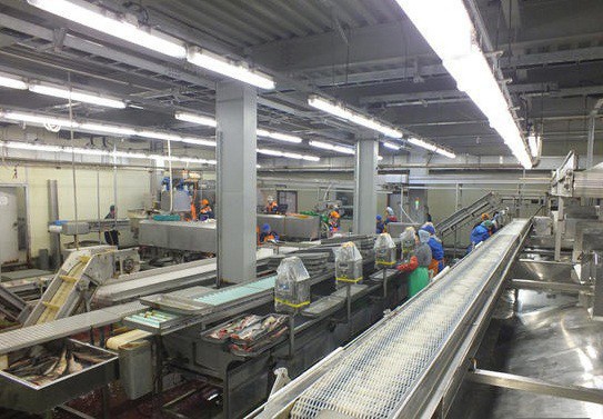 c2rlbgfub3vuyxmucnuvas9klzmvzc9km2qztg5oa1pxeghibtkxym1gekxusjfmm1z3ykc5afpitxzpqzg1thpnnu9ertboelkztwpnme5eagzim0pwwnk1cwnhvm5qmtlmyvdrou9eutroekk9lmpwzz9fx2lkptg1njq1