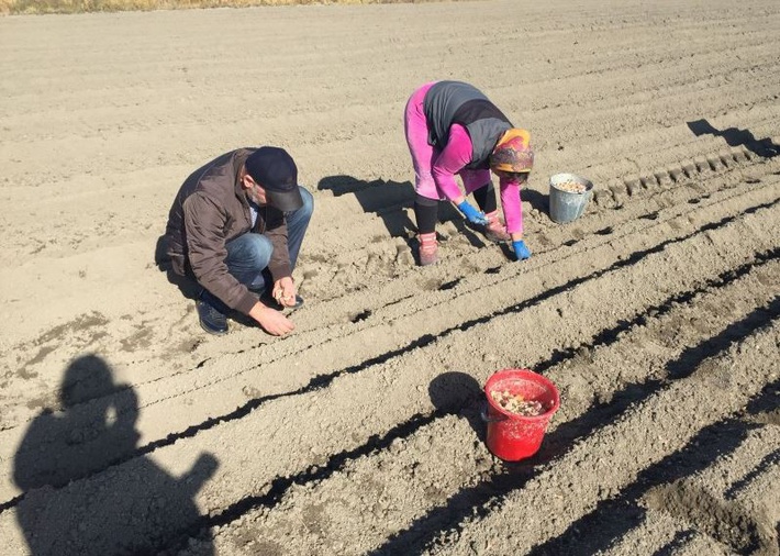 c2rlbgfub3vuyxmucnuvdxbsb2fkcy8zlzqvmzq5mtq3odkzmzmynl9vcmlnlmpwzwc_x19pzd04nja4nw