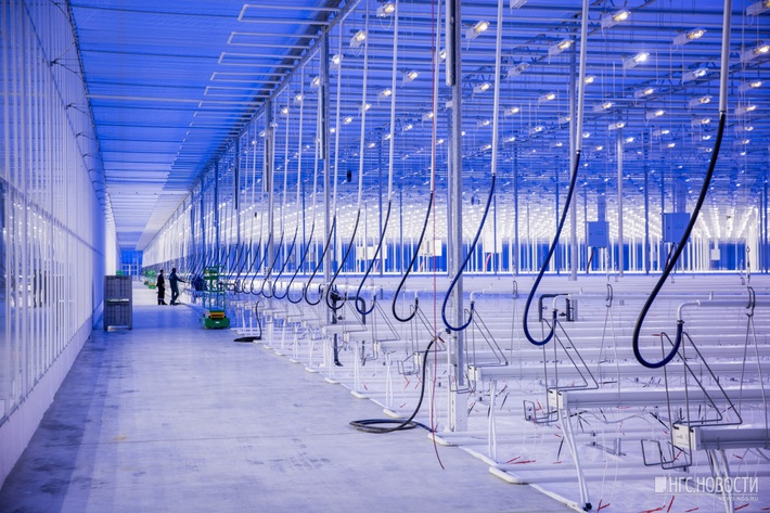 c3rhdgljlm5ncy5yds9uzxdzlzu0l3byzxzpzxcvmdexytixntu0mdy0yjaxzdexndllowe0zdblmzm3nmi3odmyy2qxnl8xmjawlmpwzz9fx2lkptg1nze4