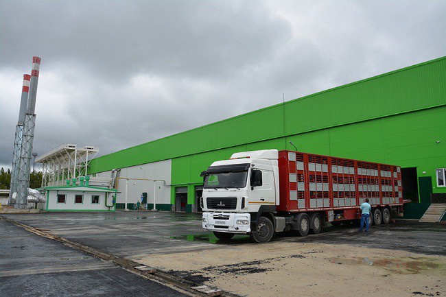 d3d3lnnkzwxhbm91bmfzlnj1l3vwbg9hzhmvos8ylzkynje0nzgwmja3mzrfb3jpzy5qcgvnp19fawq9odu2nti