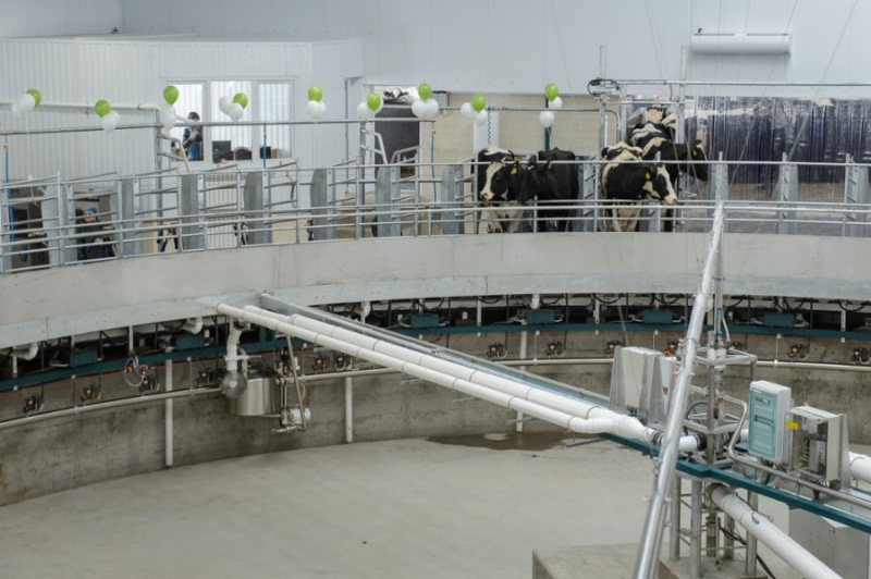 9fe2a3bab32841967c0b8deb7b5de9b0