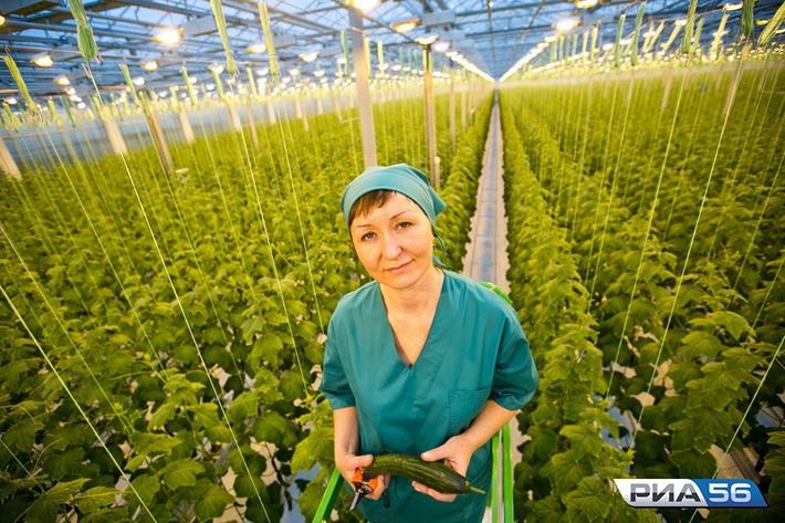 cmlhNTYucnUvdXBsb2Fkcy9wb3N0cy82MTM2M18zMjQxOS5qcGc_X19pZD04OTExMw==