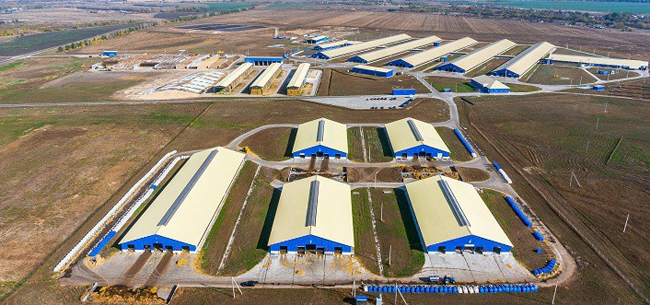 объекты «Русмолко» в Пензенской области