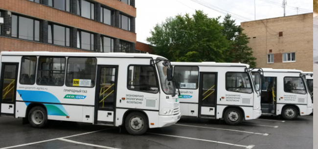 Успех российских автобусов: ПАЗ лидирует на украинском рынке